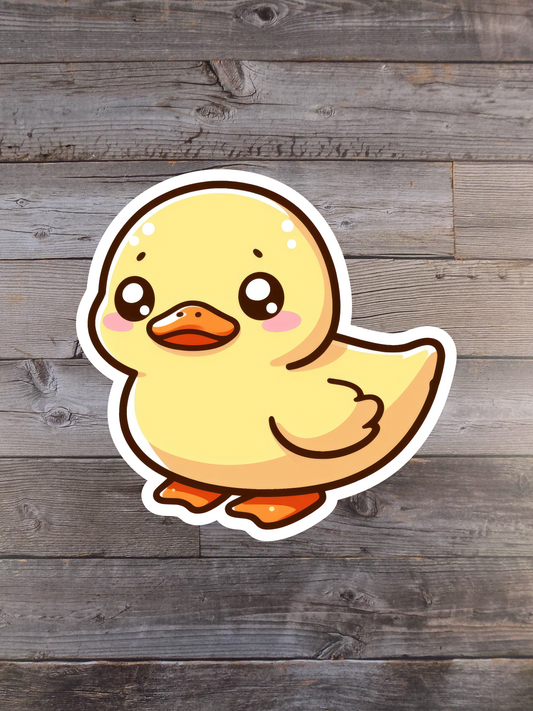 Duck